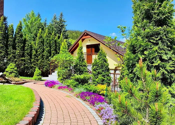 Sonata 3* カルパッチ